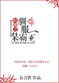 红楼之贾府崛起呆王之王